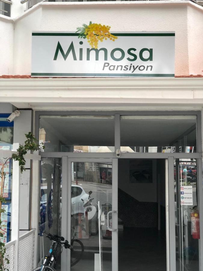 Mimosa Pension Kaş Exterior foto